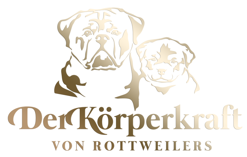 DKV Rottweilers | DKV Legacy